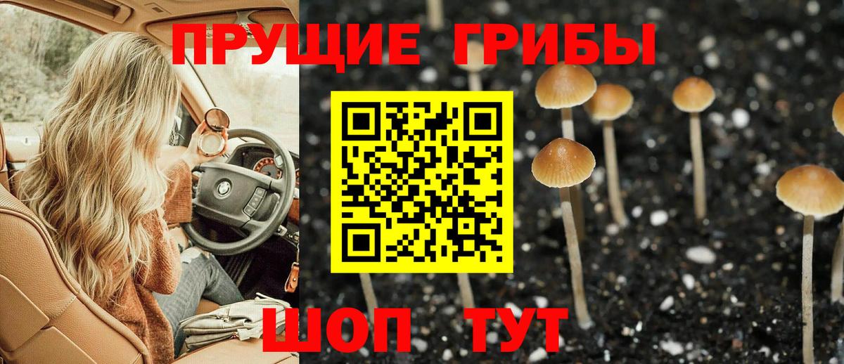 Галлюциногенные грибы прущие грибы  как найти   Шарыпово  Вход с VPN  Псилоцибиновые грибы MAGIC MUSHROOMS 