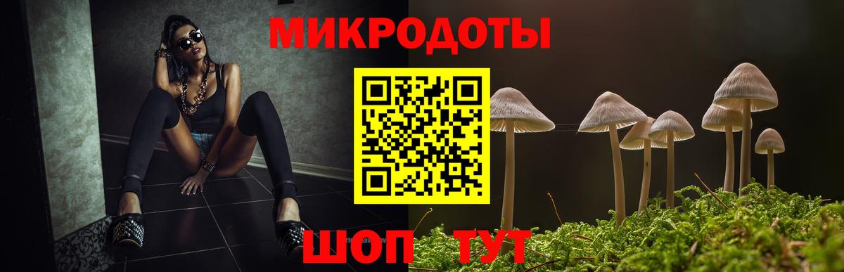 Псилоцибиновые грибы Psilocybine cubensis Шарыпово